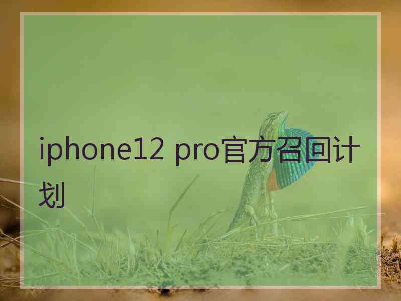 iphone12 pro官方召回计划