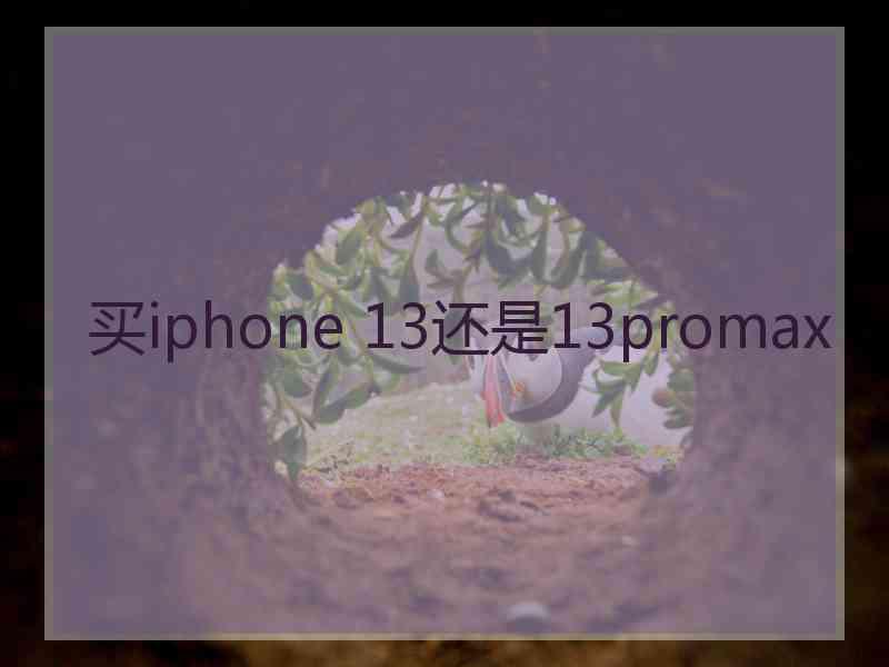 买iphone 13还是13promax