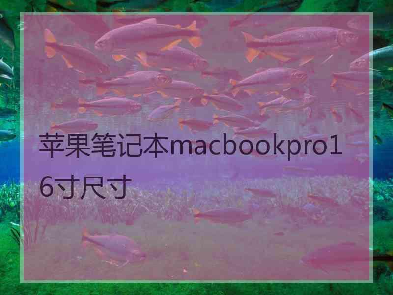 苹果笔记本macbookpro16寸尺寸