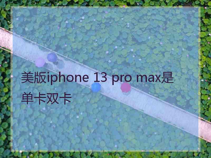 美版iphone 13 pro max是单卡双卡