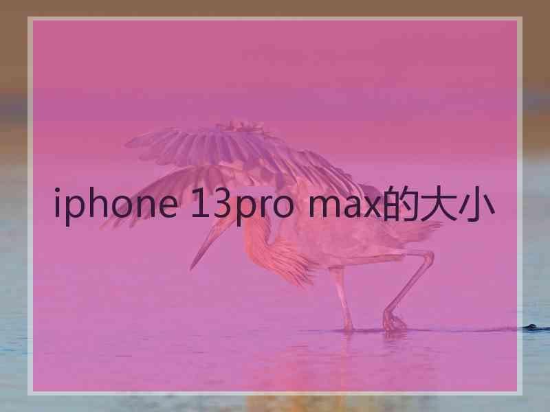 iphone 13pro max的大小