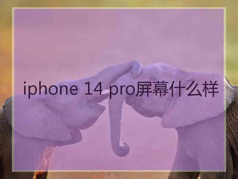 iphone 14 pro屏幕什么样