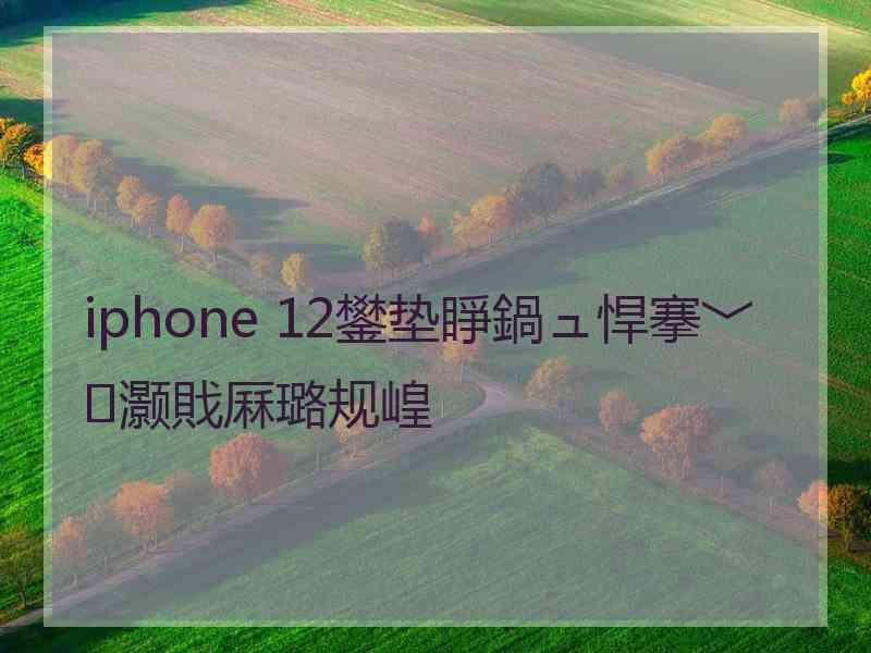 iphone 12鐢垫睜鍋ュ悍搴﹀灏戝厤璐规崲