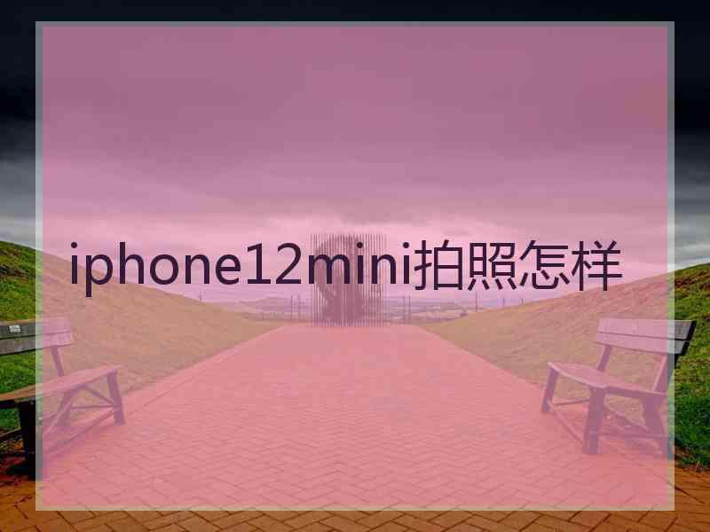 iphone12mini拍照怎样