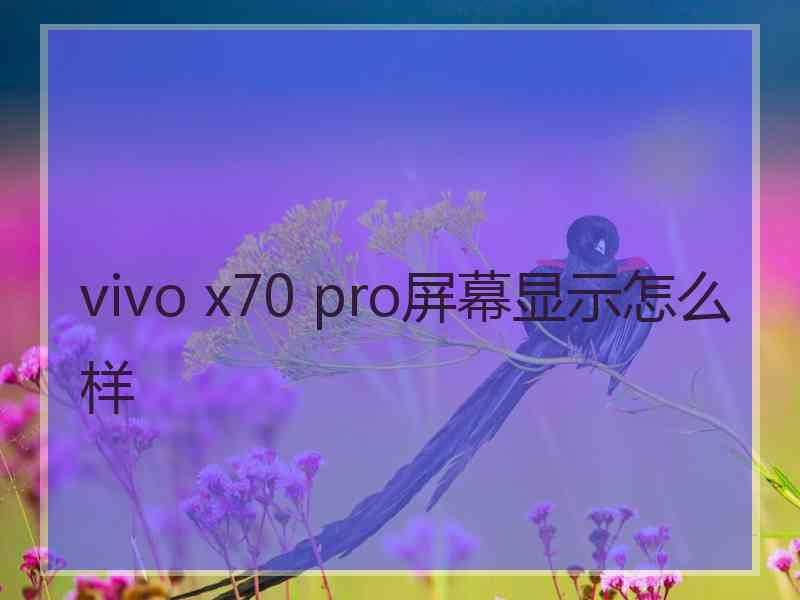 vivo x70 pro屏幕显示怎么样