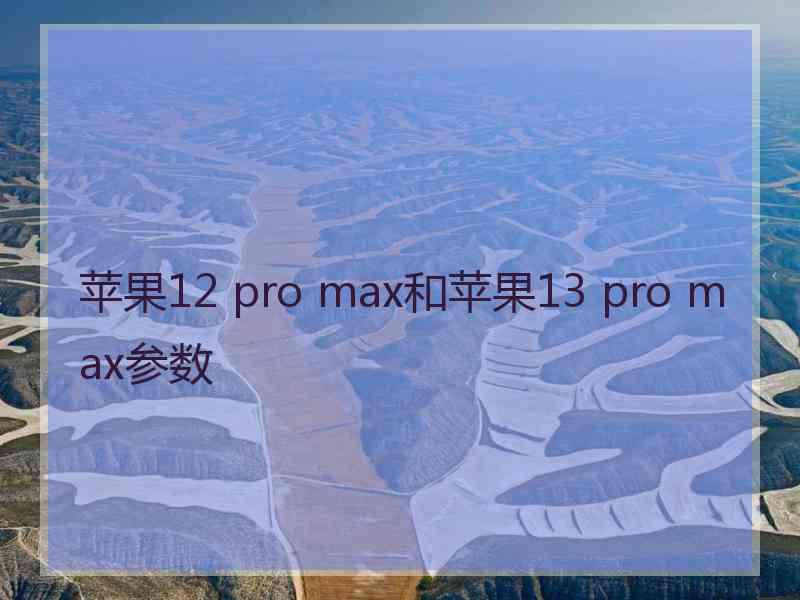 苹果12 pro max和苹果13 pro max参数