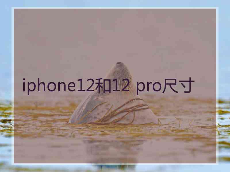 iphone12和12 pro尺寸