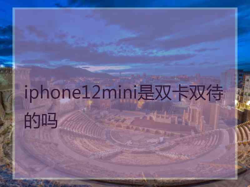 iphone12mini是双卡双待的吗