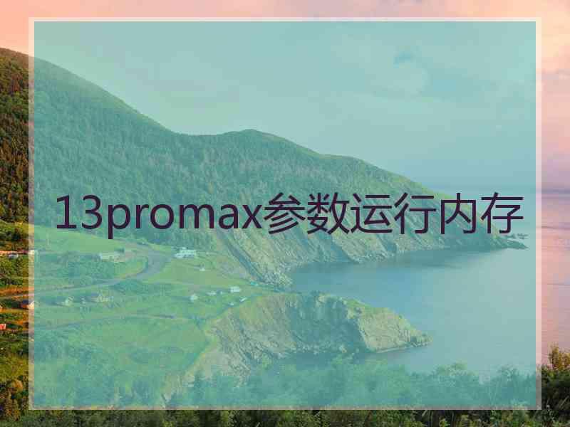 13promax参数运行内存