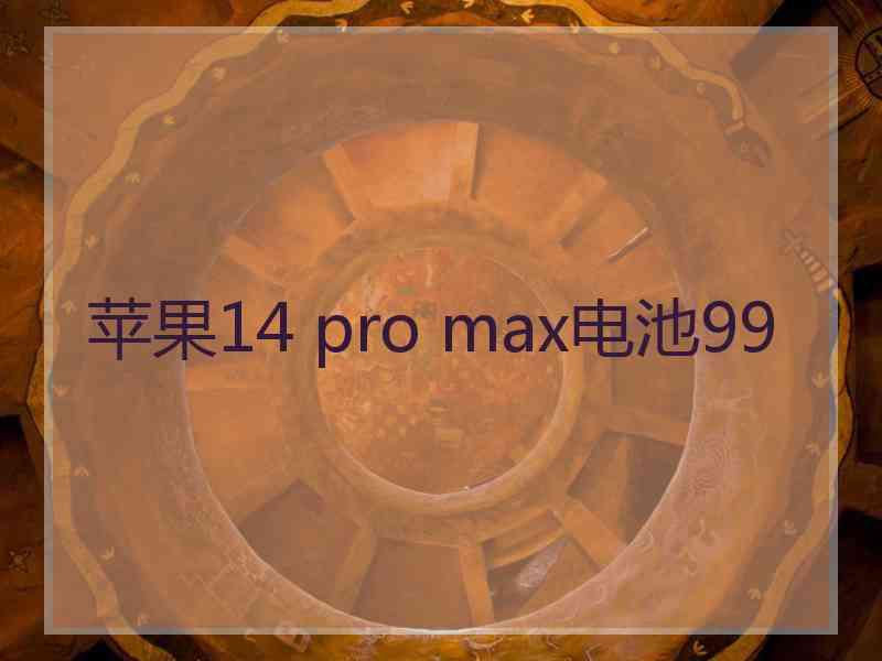 苹果14 pro max电池99