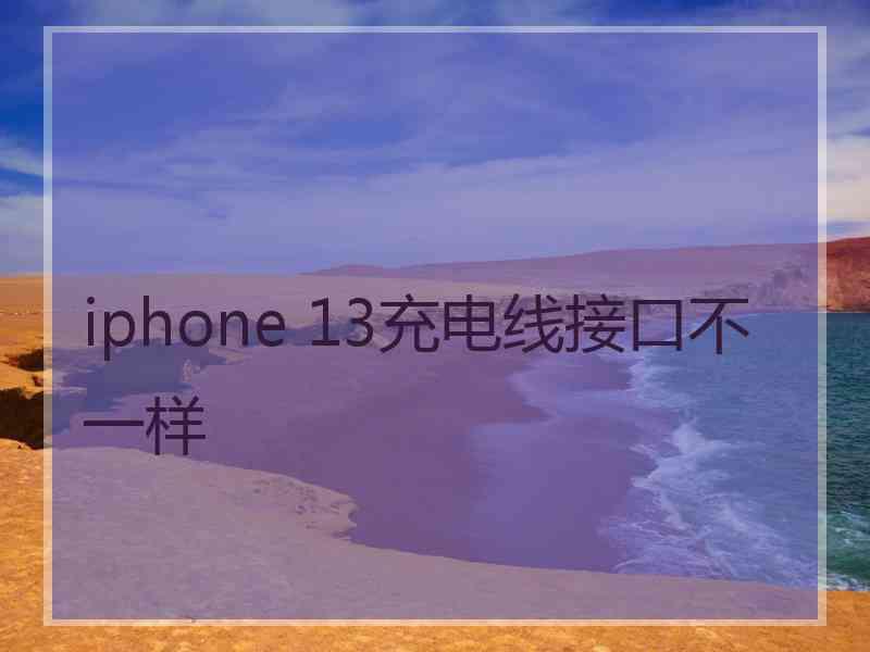 iphone 13充电线接口不一样