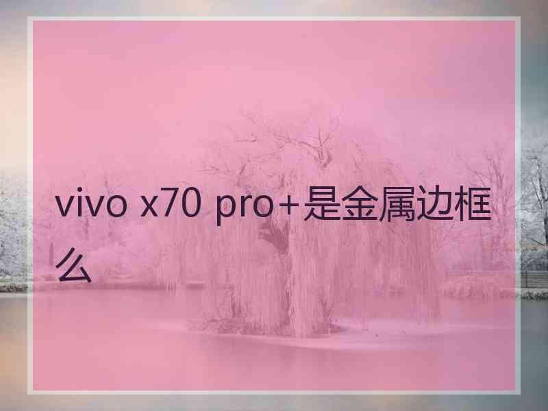 vivo x70 pro+是金属边框么