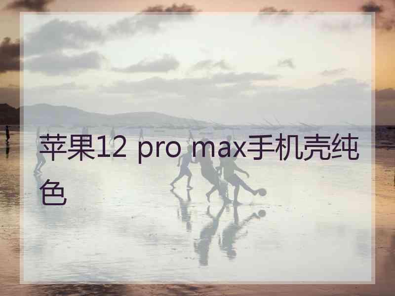 苹果12 pro max手机壳纯色