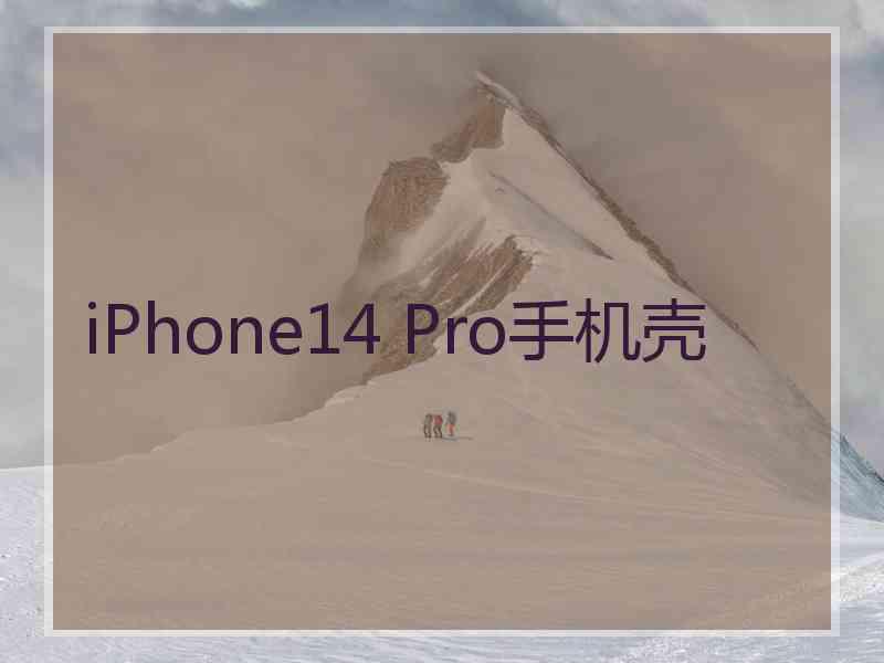 iPhone14 Pro手机壳