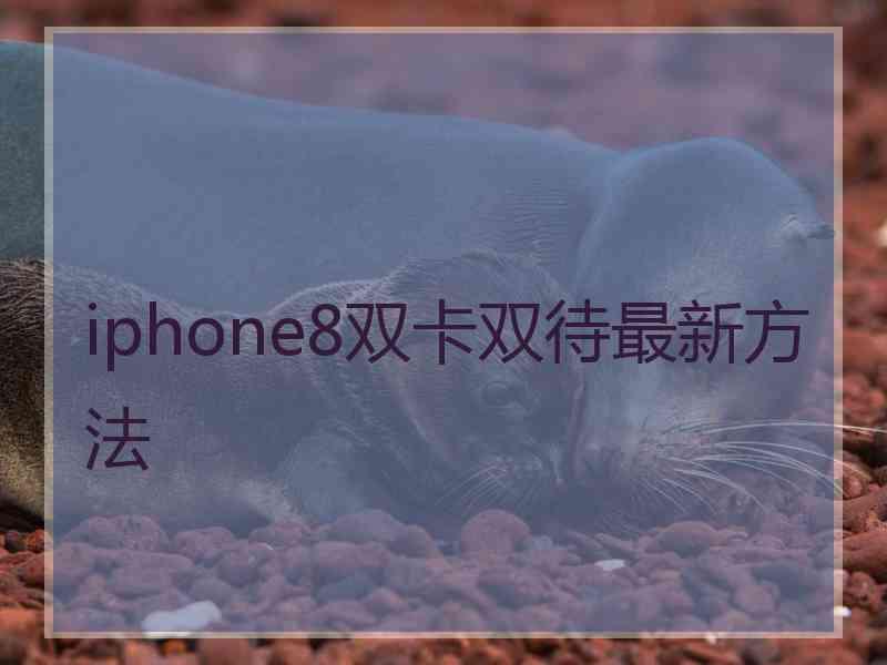 iphone8双卡双待最新方法