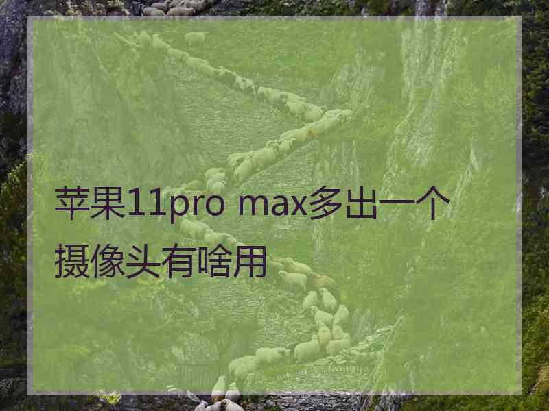 苹果11pro max多出一个摄像头有啥用