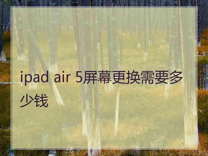 ipad air 5屏幕更换需要多少钱