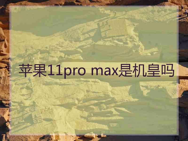 苹果11pro max是机皇吗