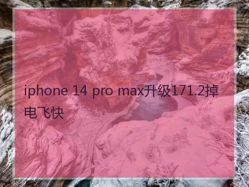 iphone 14 pro max升级171.2掉电飞快