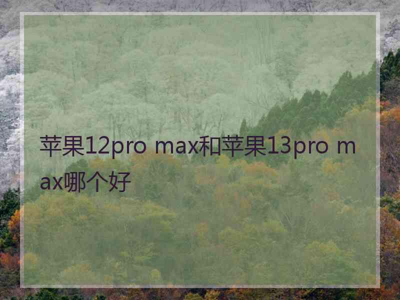 苹果12pro max和苹果13pro max哪个好