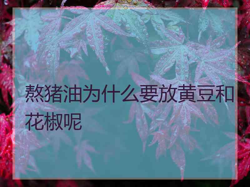 熬猪油为什么要放黄豆和花椒呢