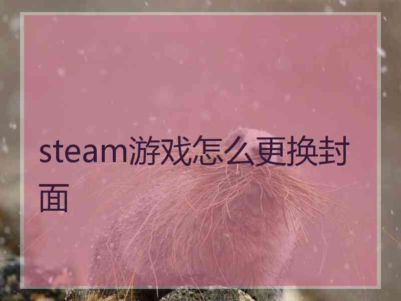 steam游戏怎么更换封面