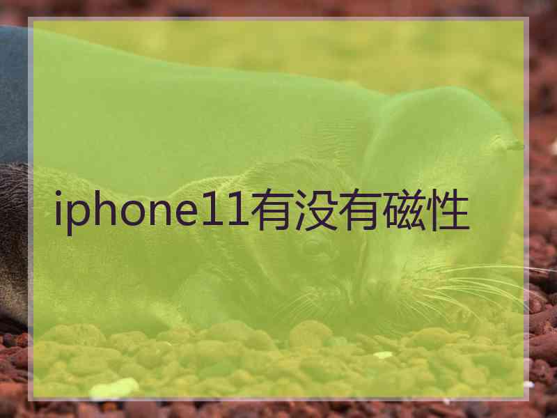 iphone11有没有磁性