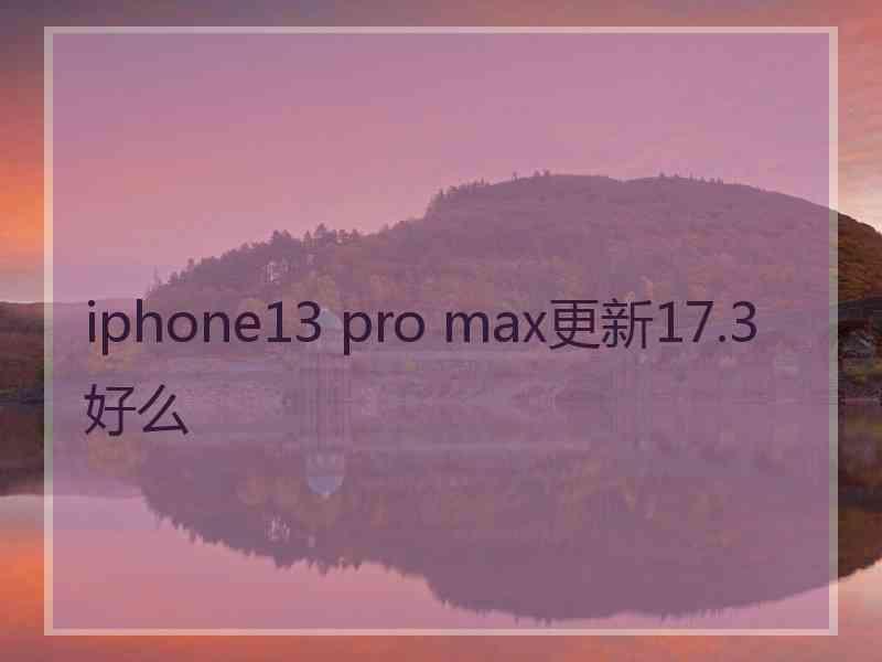 iphone13 pro max更新17.3好么