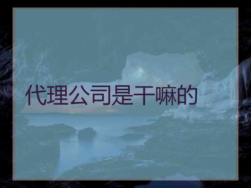 代理公司是干嘛的