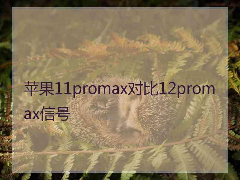 苹果11promax对比12promax信号