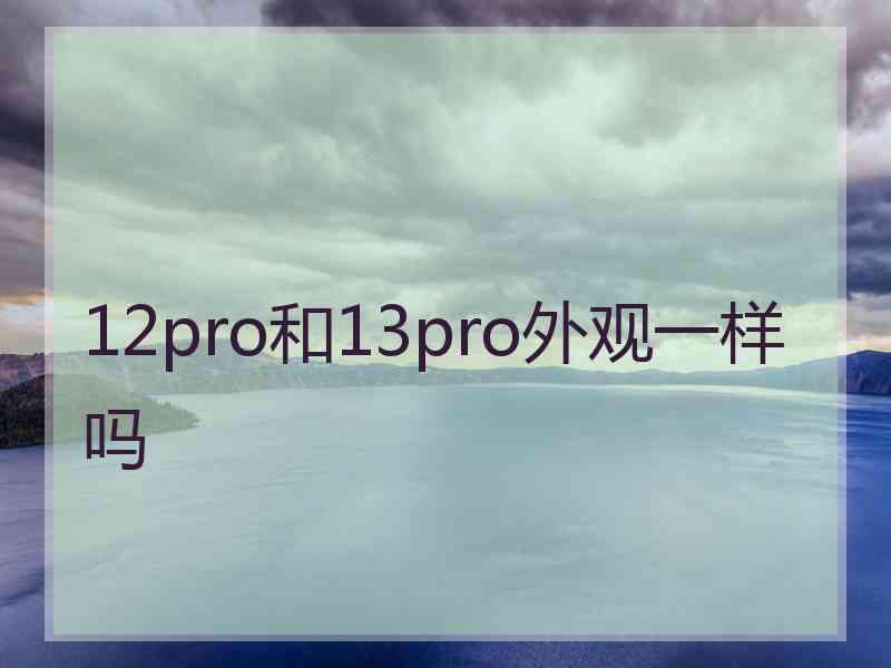 12pro和13pro外观一样吗