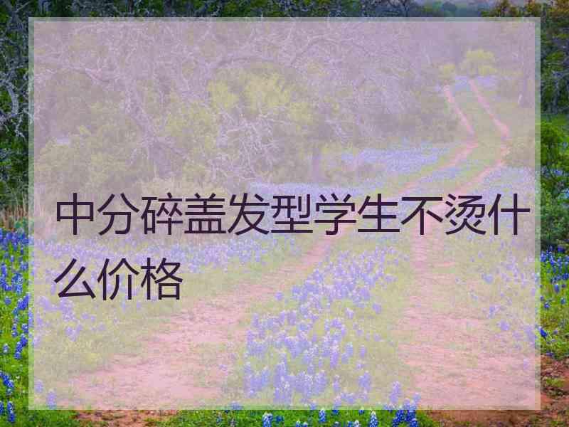 中分碎盖发型学生不烫什么价格