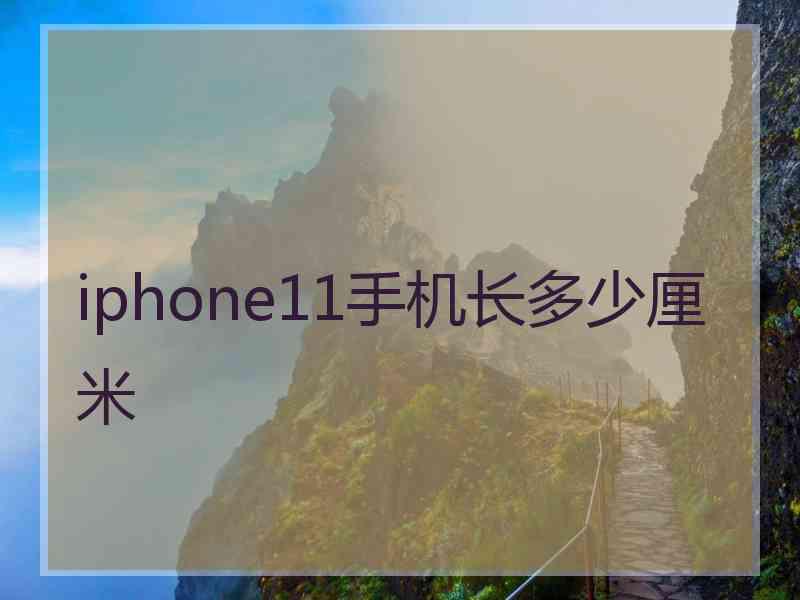 iphone11手机长多少厘米