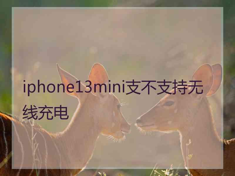 iphone13mini支不支持无线充电