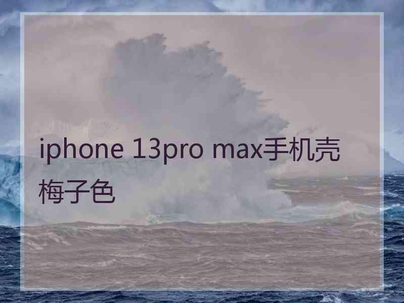 iphone 13pro max手机壳梅子色