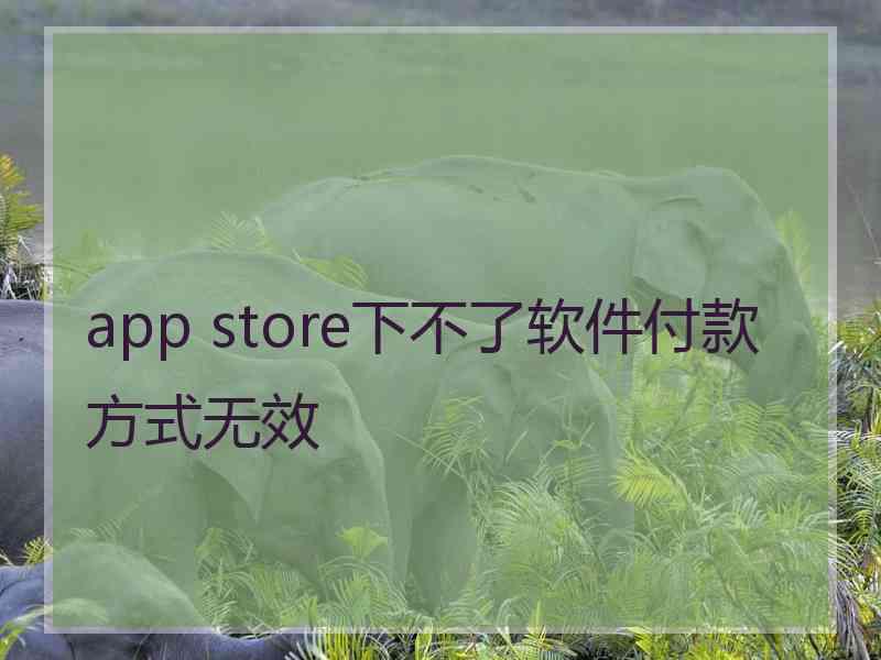 app store下不了软件付款方式无效