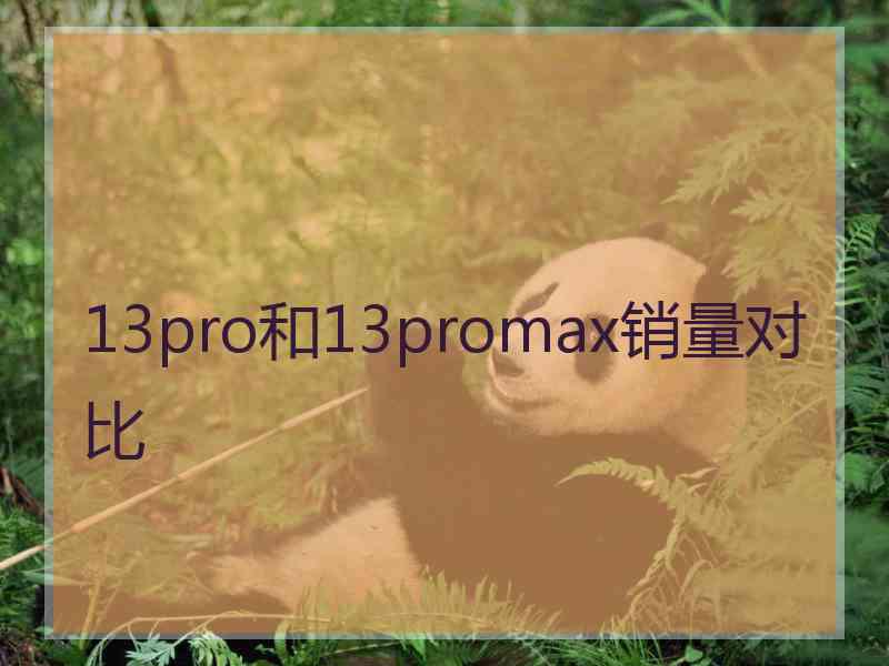 13pro和13promax销量对比