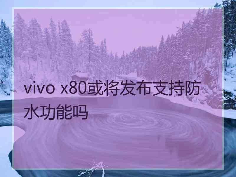 vivo x80或将发布支持防水功能吗