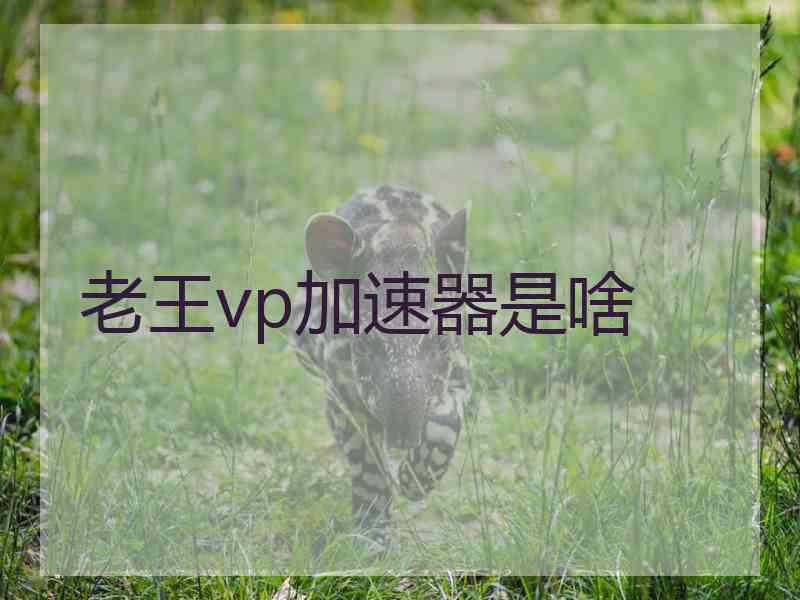 老王vp加速器是啥