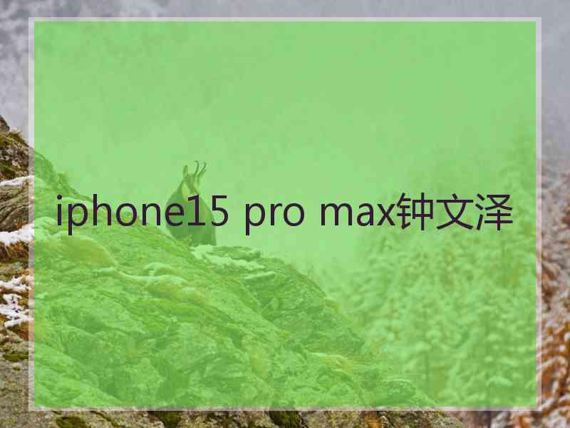 iphone15 pro max钟文泽