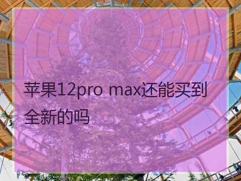 苹果12pro max还能买到全新的吗