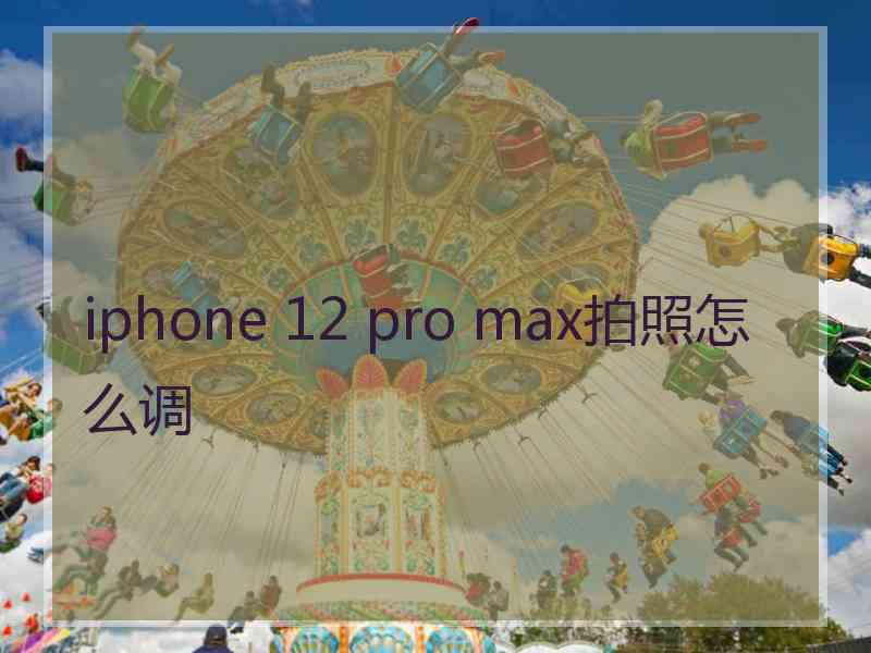 iphone 12 pro max拍照怎么调