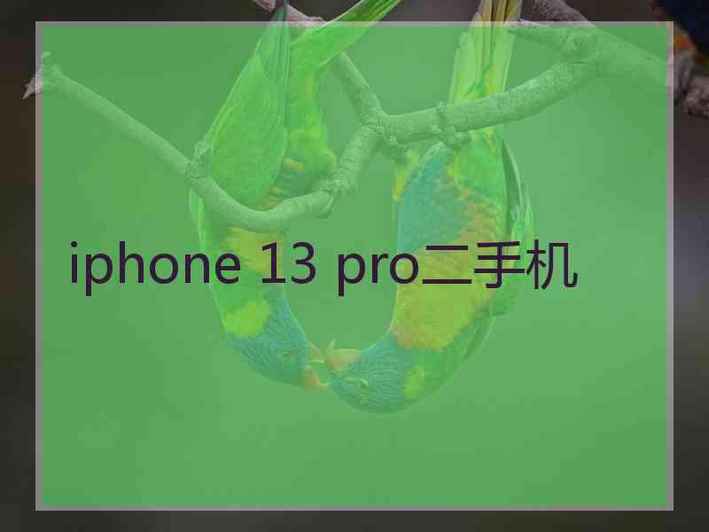 iphone 13 pro二手机