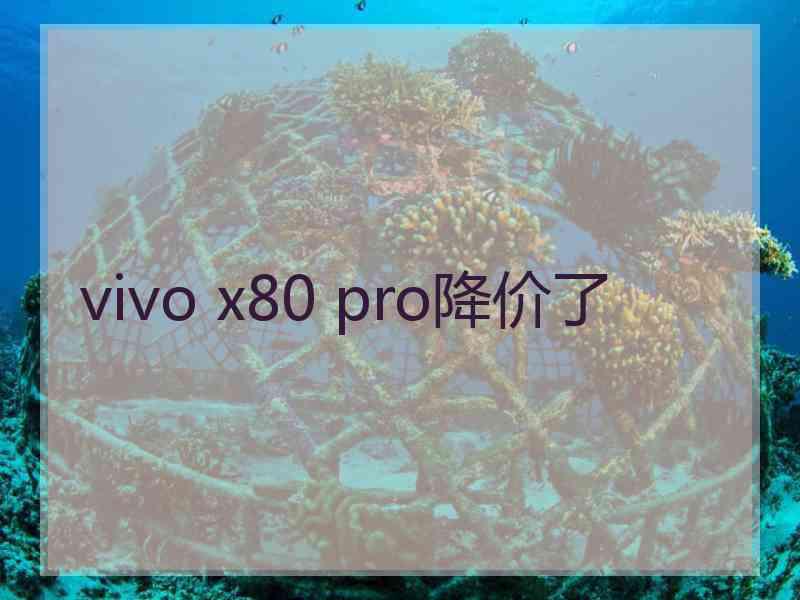 vivo x80 pro降价了