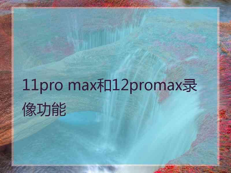 11pro max和12promax录像功能