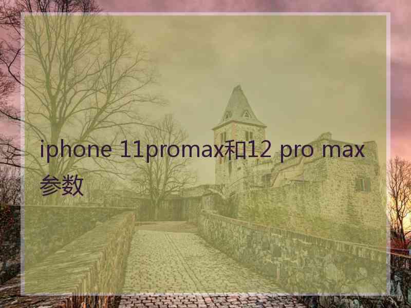 iphone 11promax和12 pro max参数