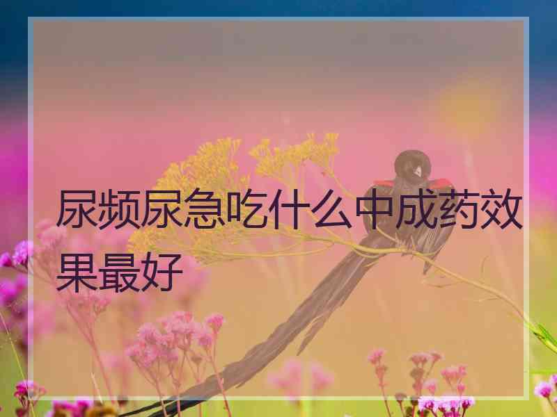 尿频尿急吃什么中成药效果最好