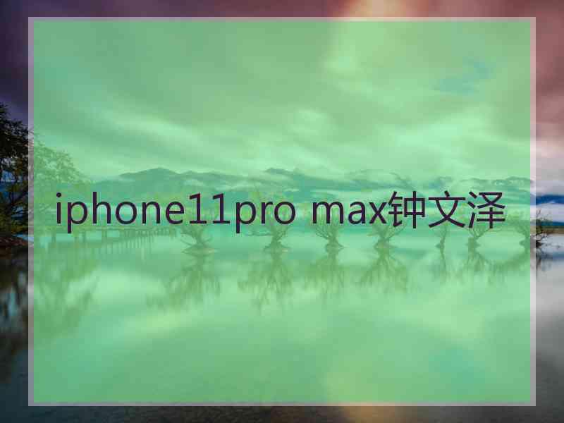 iphone11pro max钟文泽