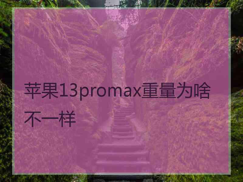 苹果13promax重量为啥不一样