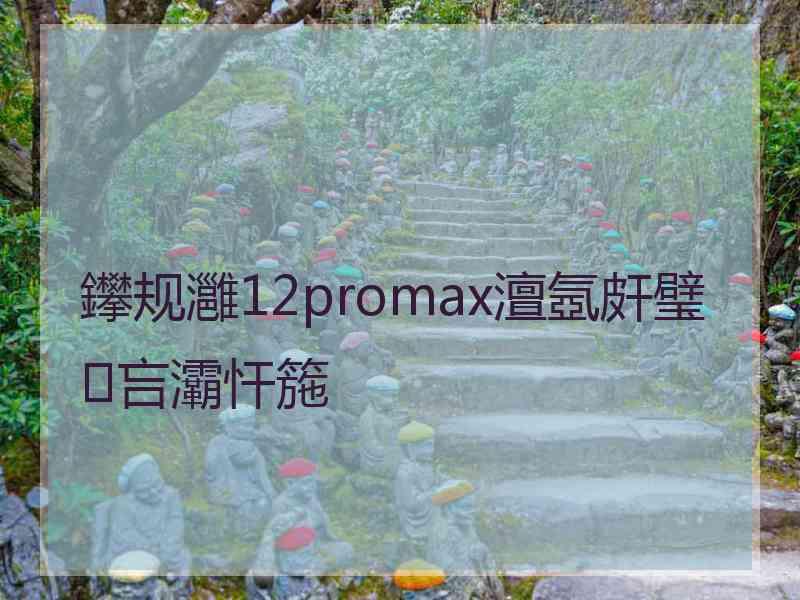 鑻规灉12promax澶氬皯璧吂灞忓箷